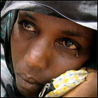 LA CORTE DELLA VERGOGNA