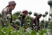 LA NARCOGUERRA DELL’AFGHANISTAN