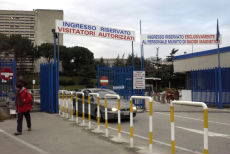 Maradona, l’assoluto del calcio