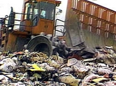 ECOMAFIA: ESPANSIONE NELLE MARCHE