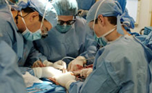 TESTAMENTO BIOLOGICO: L’ORA DELLE SCELTE