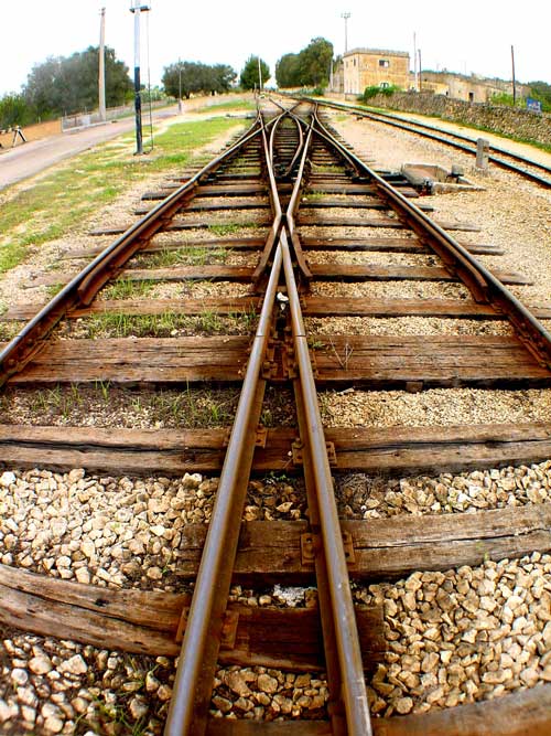 STORIELLE LEGGERE DI UN ENNESIMO AGOSTO