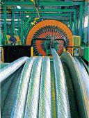 DISASTRO AMBIENTALE A ISCHIA