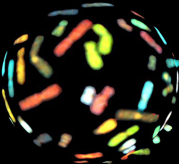 MEDICINA PREDITTIVA: DI CHE MORTE MORIRE O DI CHE VITA VIVERE?