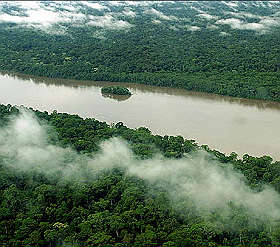 QUANDO LE TUE SCARPE UCCIDONO (ANCHE) L’AMAZZONIA