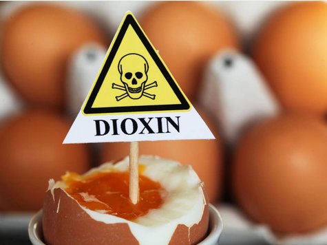 Diossina di Germania