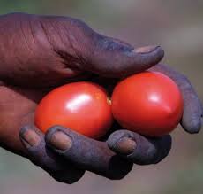 Fame nel mondo, le donne nutrono la terra