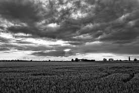 Le braccia dei senza diritti