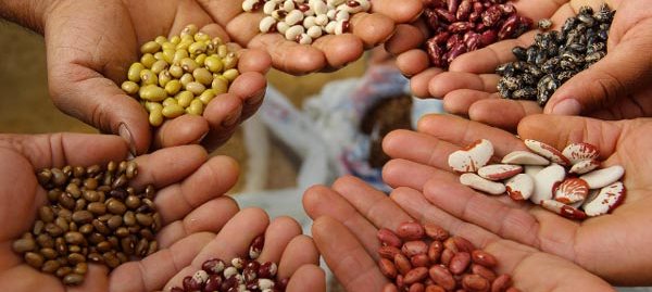 200 milioni di bambini affamati nel mondo