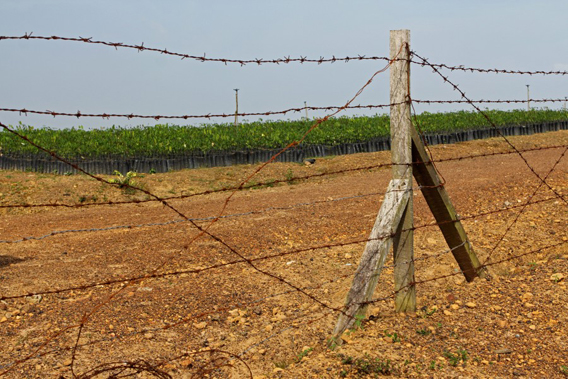 Corsa alla terra di nessuno