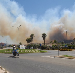 Crimini e ambiente, meno reati