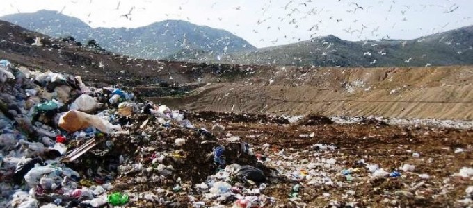 Ecoreati, 2017 annus horribilis