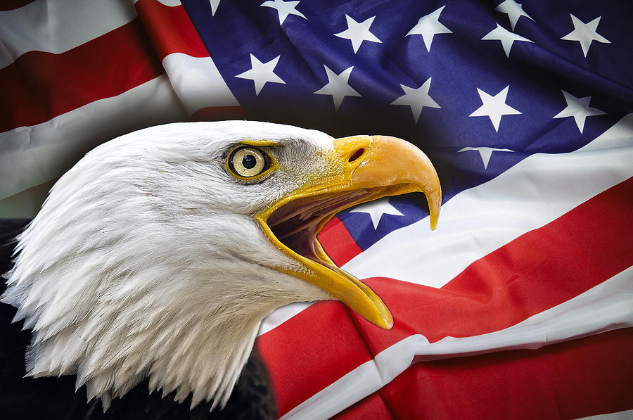 USA: dal ‘45 oltre 20 milioni uccisi