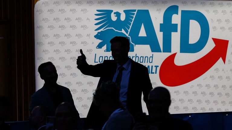 AfD, il prezzo della crisi tedesca