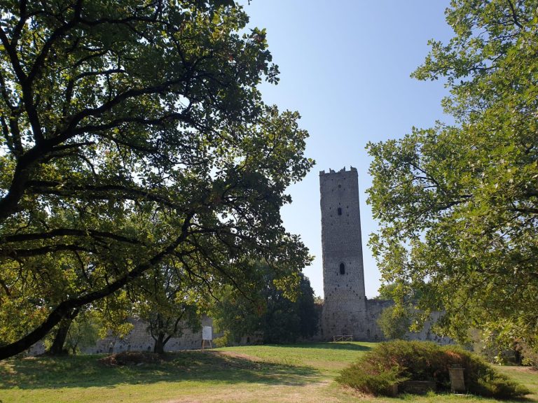 Pasolini e i furbetti della Torre